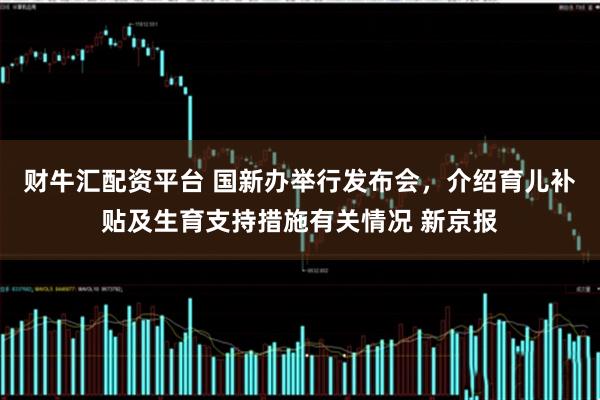 财牛汇配资平台 国新办举行发布会，介绍育儿补贴及生育支持措施有关情况 新京报