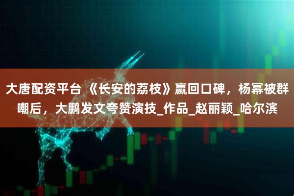 大唐配资平台 《长安的荔枝》赢回口碑，杨幂被群嘲后，大鹏发文夸赞演技_作品_赵丽颖_哈尔滨