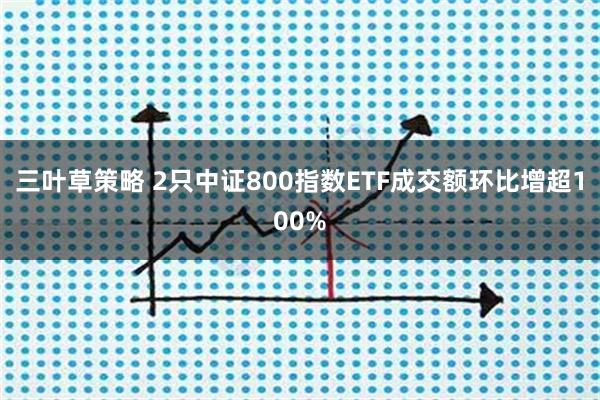 三叶草策略 2只中证800指数ETF成交额环比增超100%
